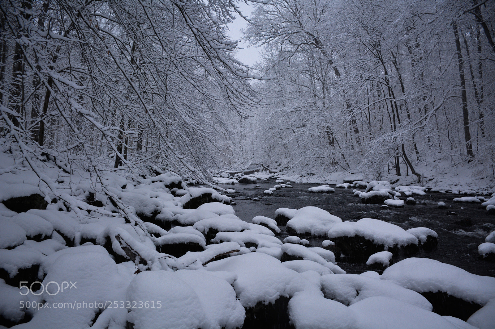 Nikon D7100 sample photo. Ridley creek photography