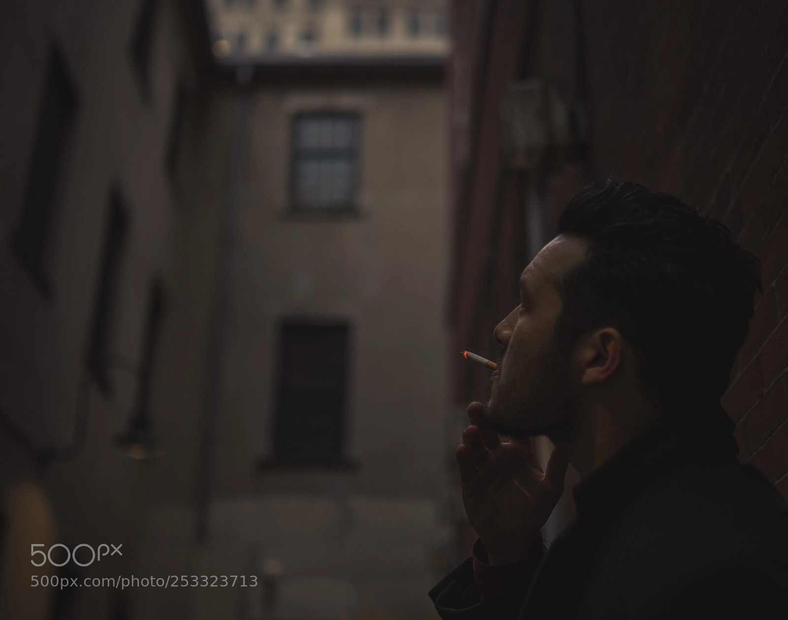 Nikon D600 sample photo. Untitled photography