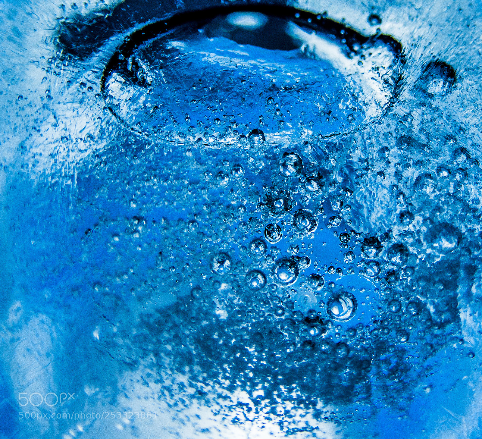 Nikon D800 sample photo. Frosty macro vol. 6 photography