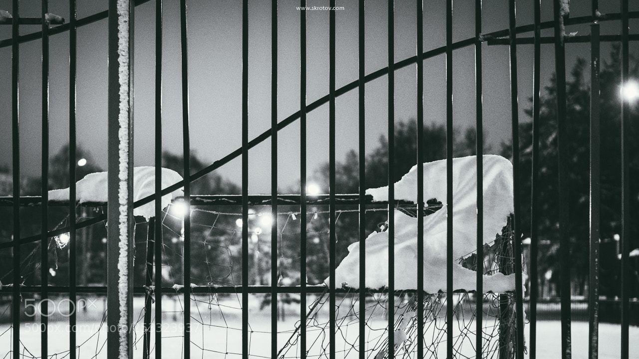 Nikon D800 sample photo. -2 photography