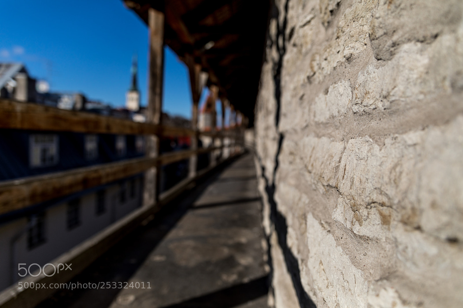 Canon EOS 5D Mark IV sample photo. Far-looking photography