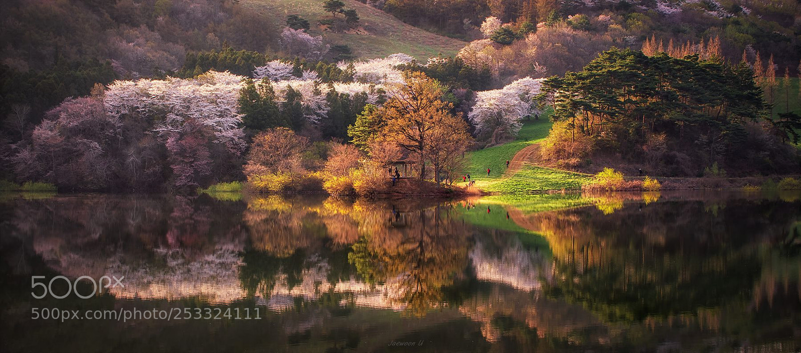 Canon EOS 5D Mark IV sample photo. Springtime photography