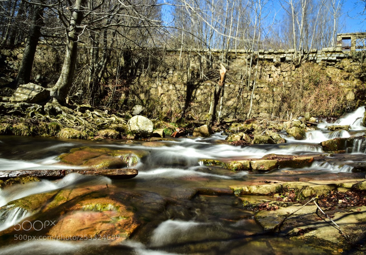 Nikon D7200 sample photo. Riachuelo photography