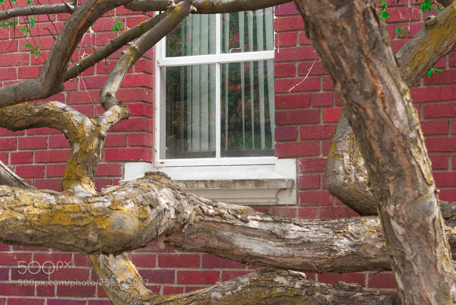 Nikon D60 sample photo. The city life photography
