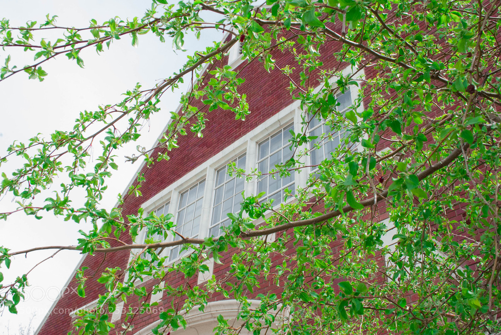 Nikon D60 sample photo. The city life photography