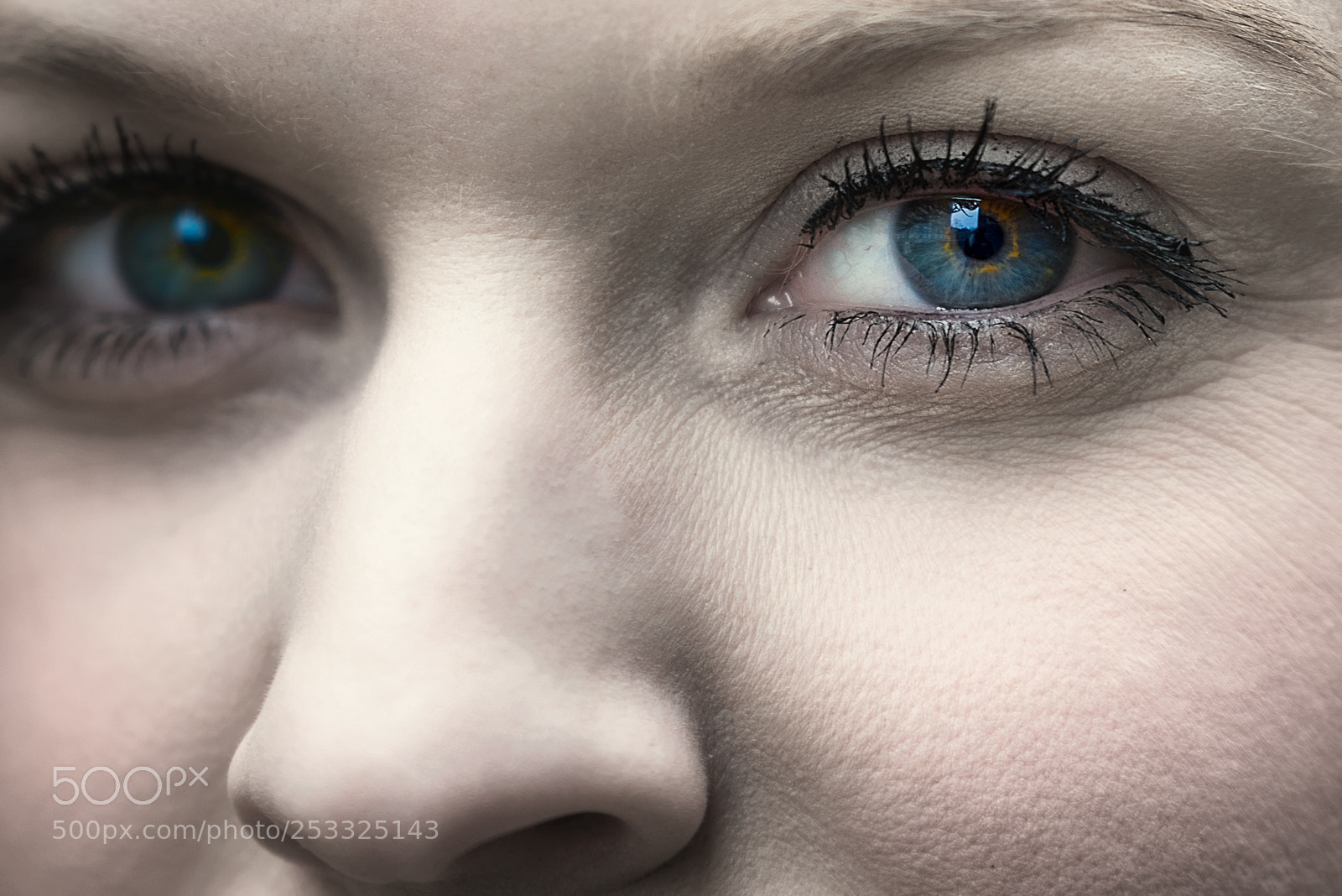 Nikon D810 sample photo. All eyes on you photography