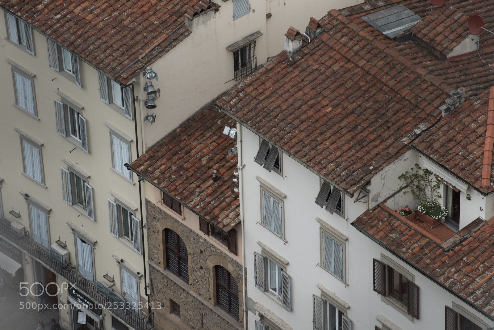Nikon D810 sample photo. Untitled photography