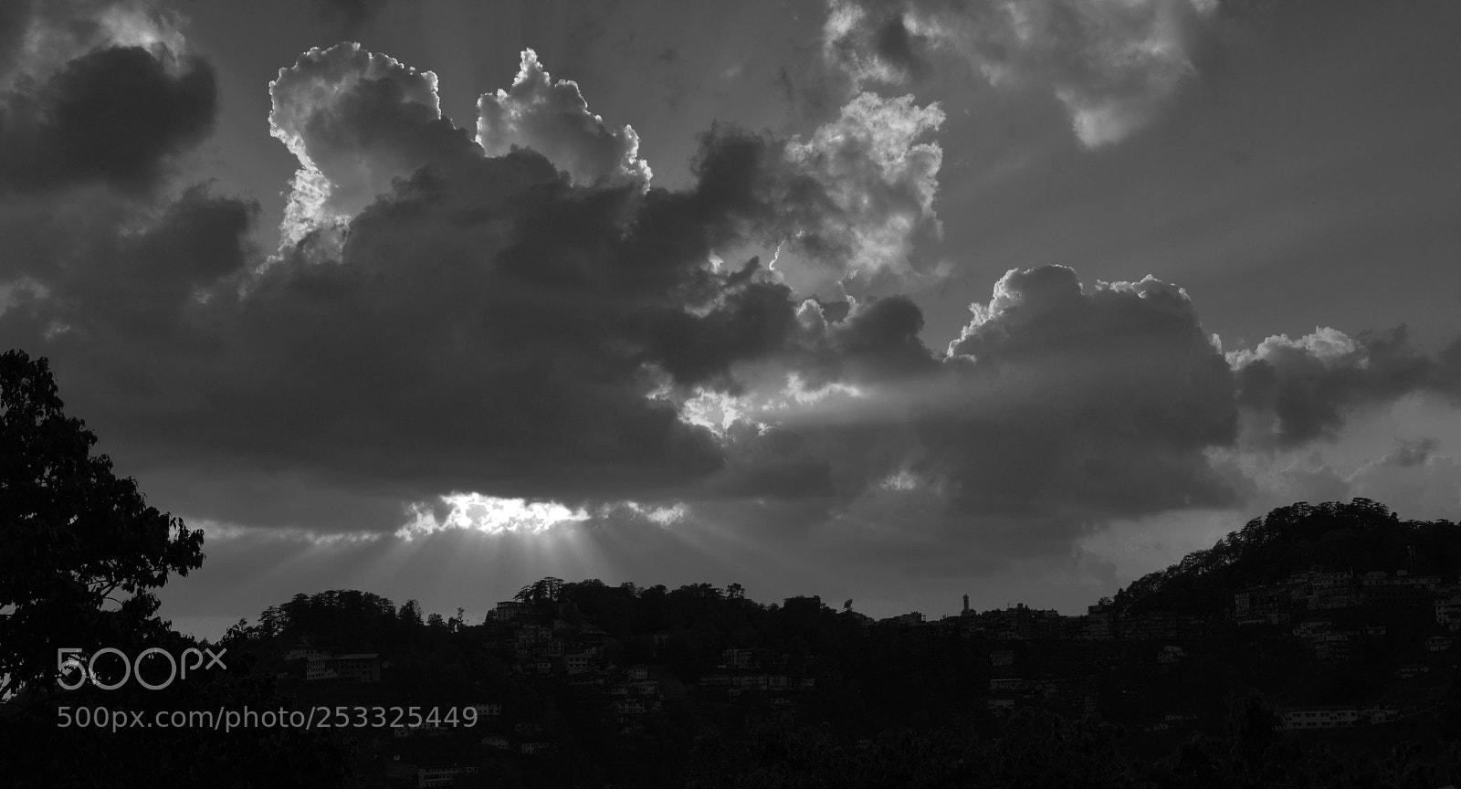 Nikon D610 sample photo. Landour rays photography