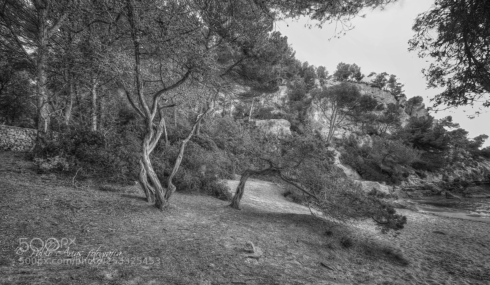 Nikon D50 sample photo. Macarella en bn photography