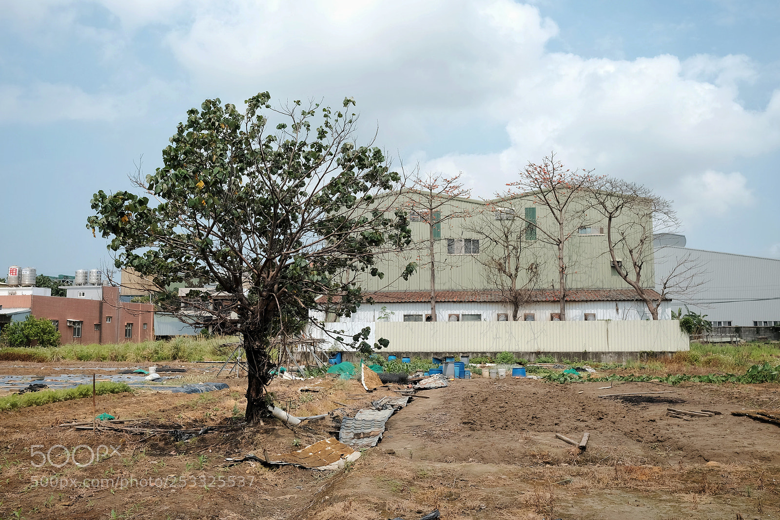 Fujifilm X-T1 sample photo. Oasis of city photography