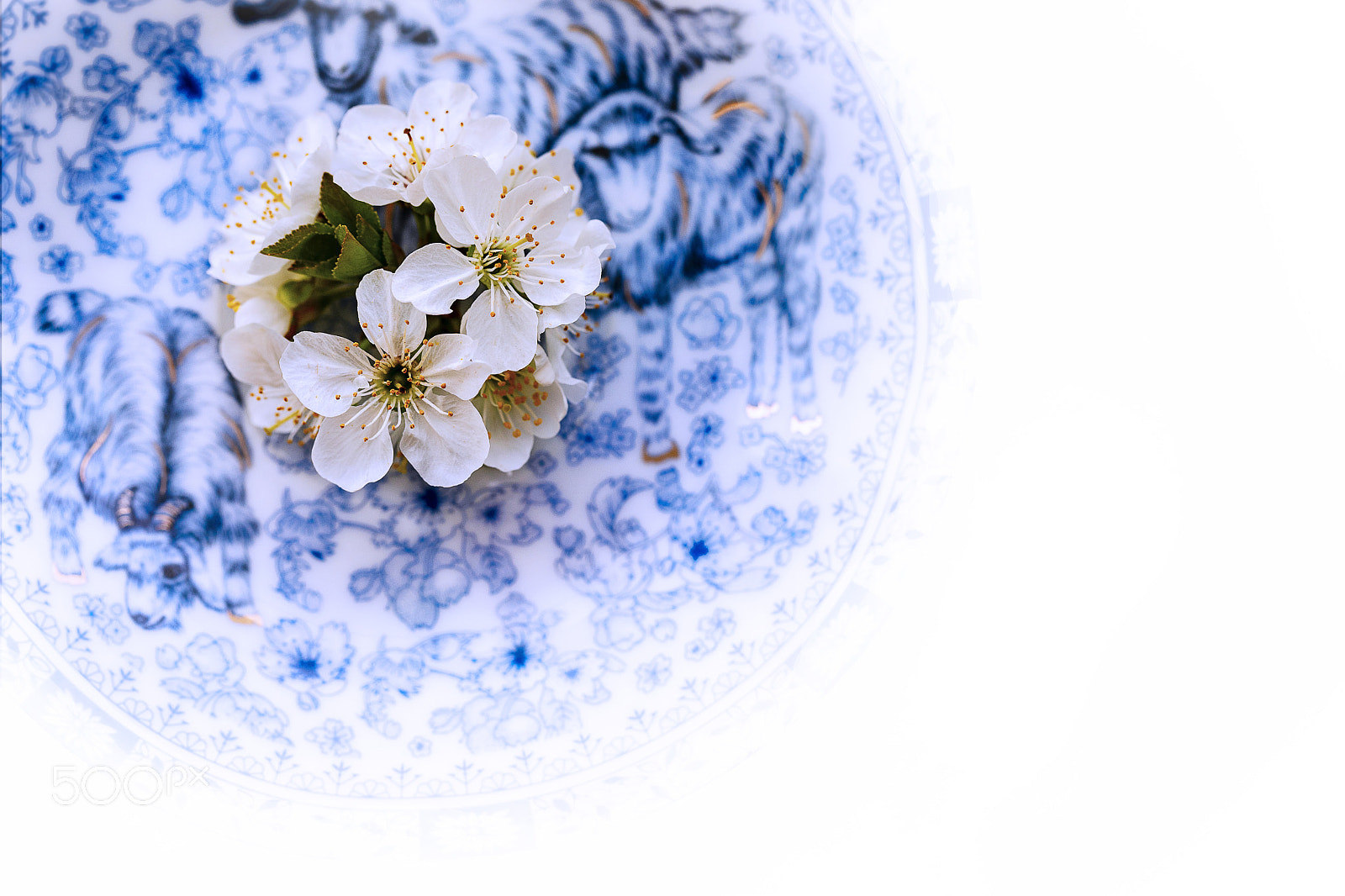 Canon EOS 6D Mark II sample photo. Flowery photography