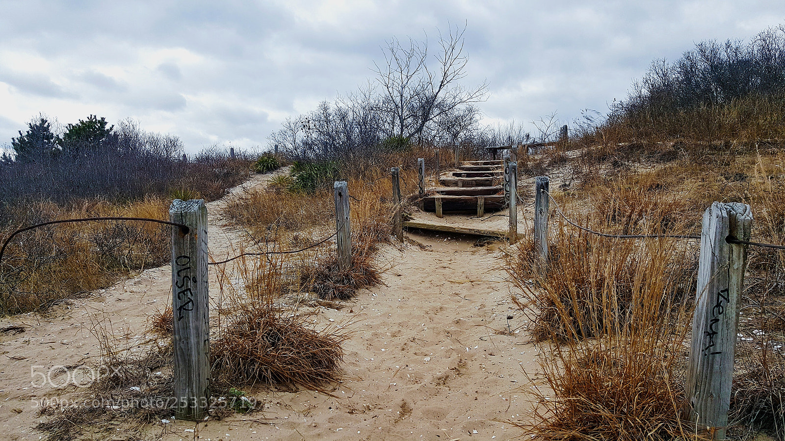 Samsung Galaxy Note5 sample photo. The road less traveled photography