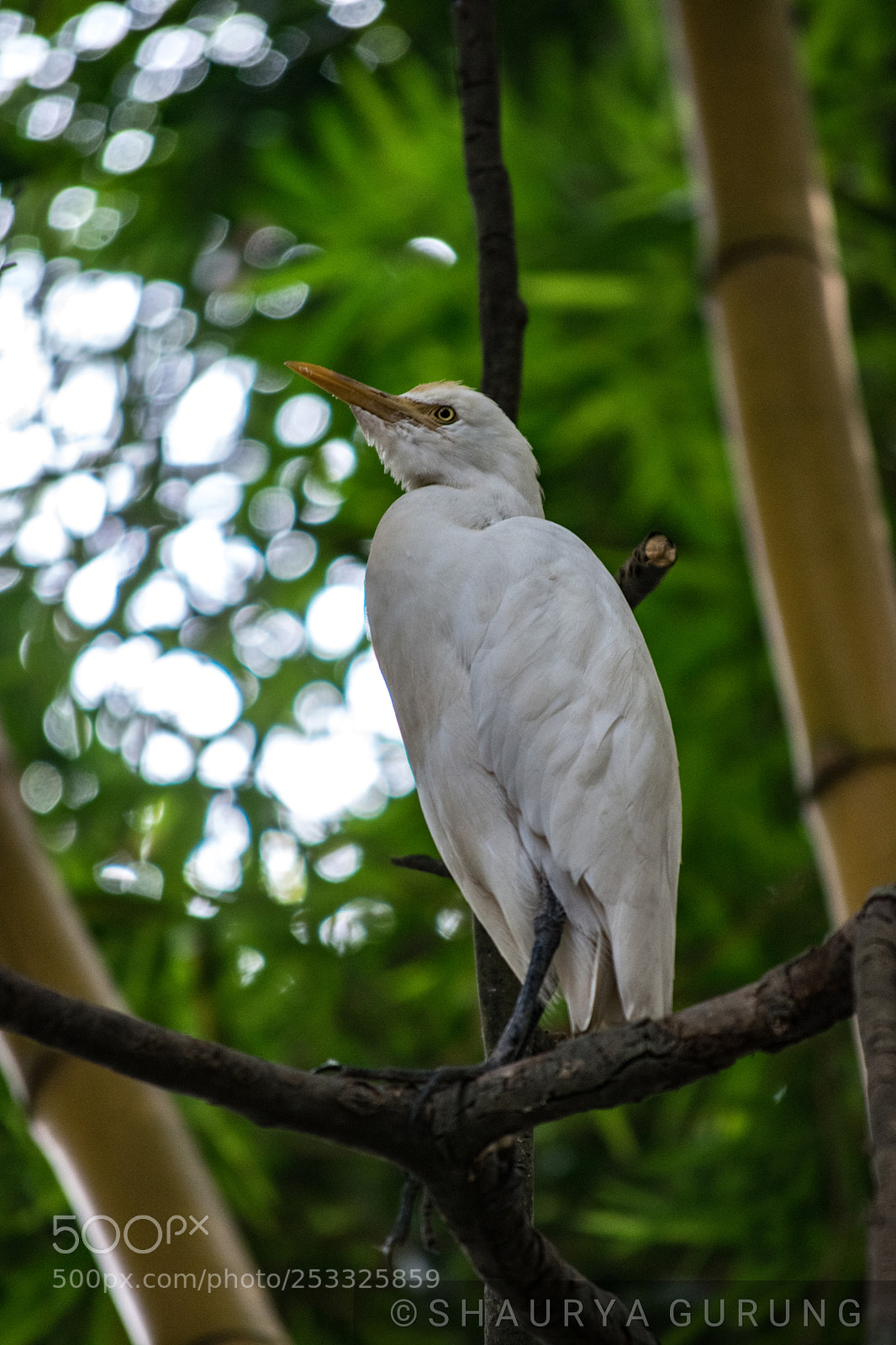 Nikon D5300 sample photo. Sometimes you need to photography