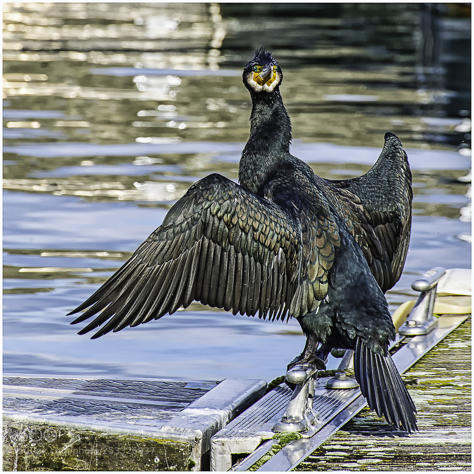 Nikon D610 sample photo. Je te vois. photography