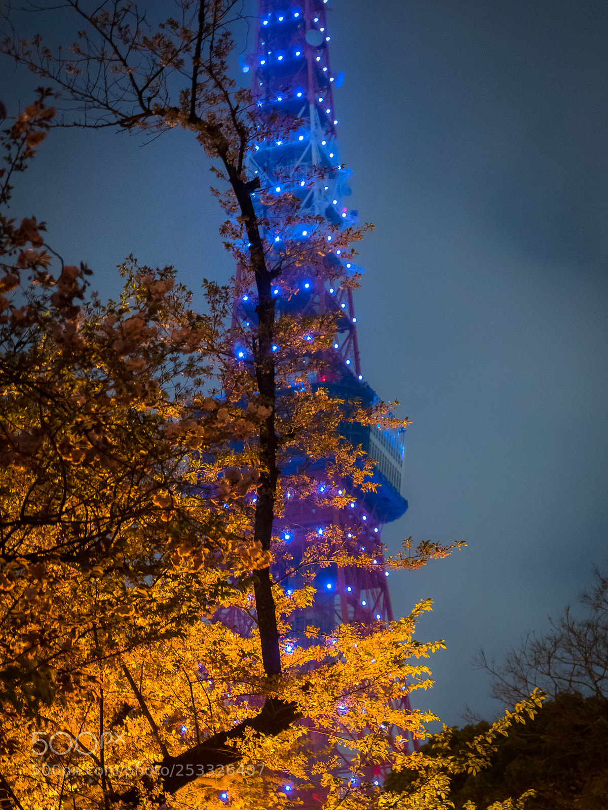 Pentax K-3 II sample photo. Tokyo tower photography