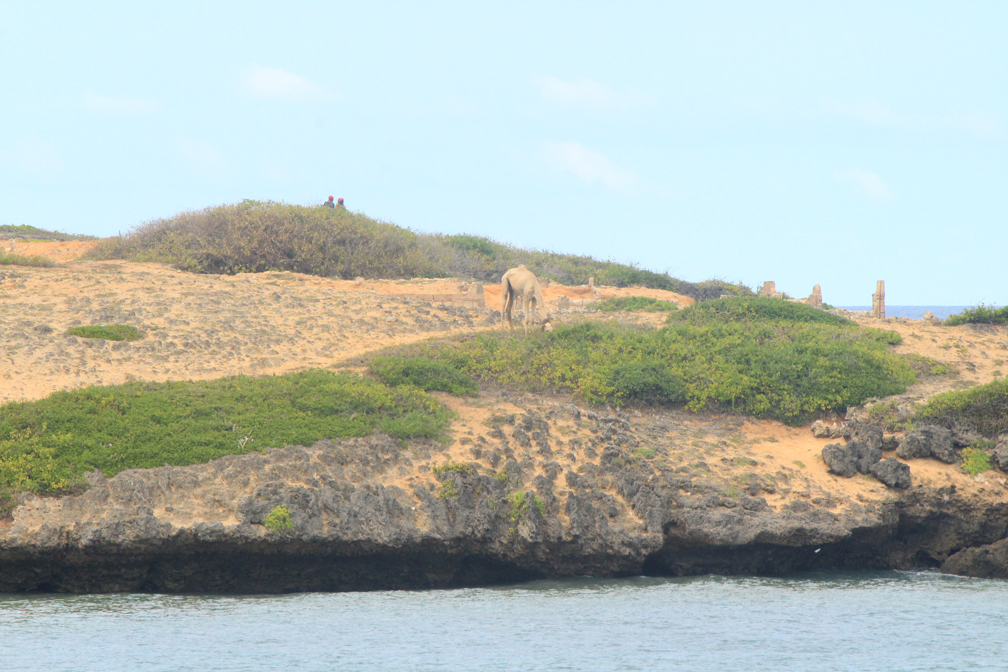 Canon EF-S 55-250mm F4-5.6 IS sample photo. Img photography