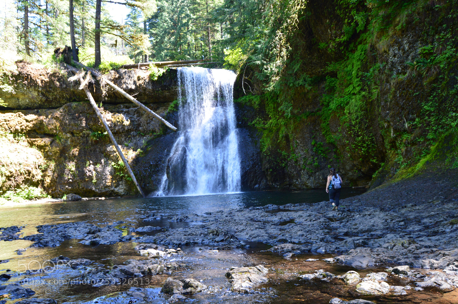 Nikon D3200 sample photo. Chasing silver falls photography