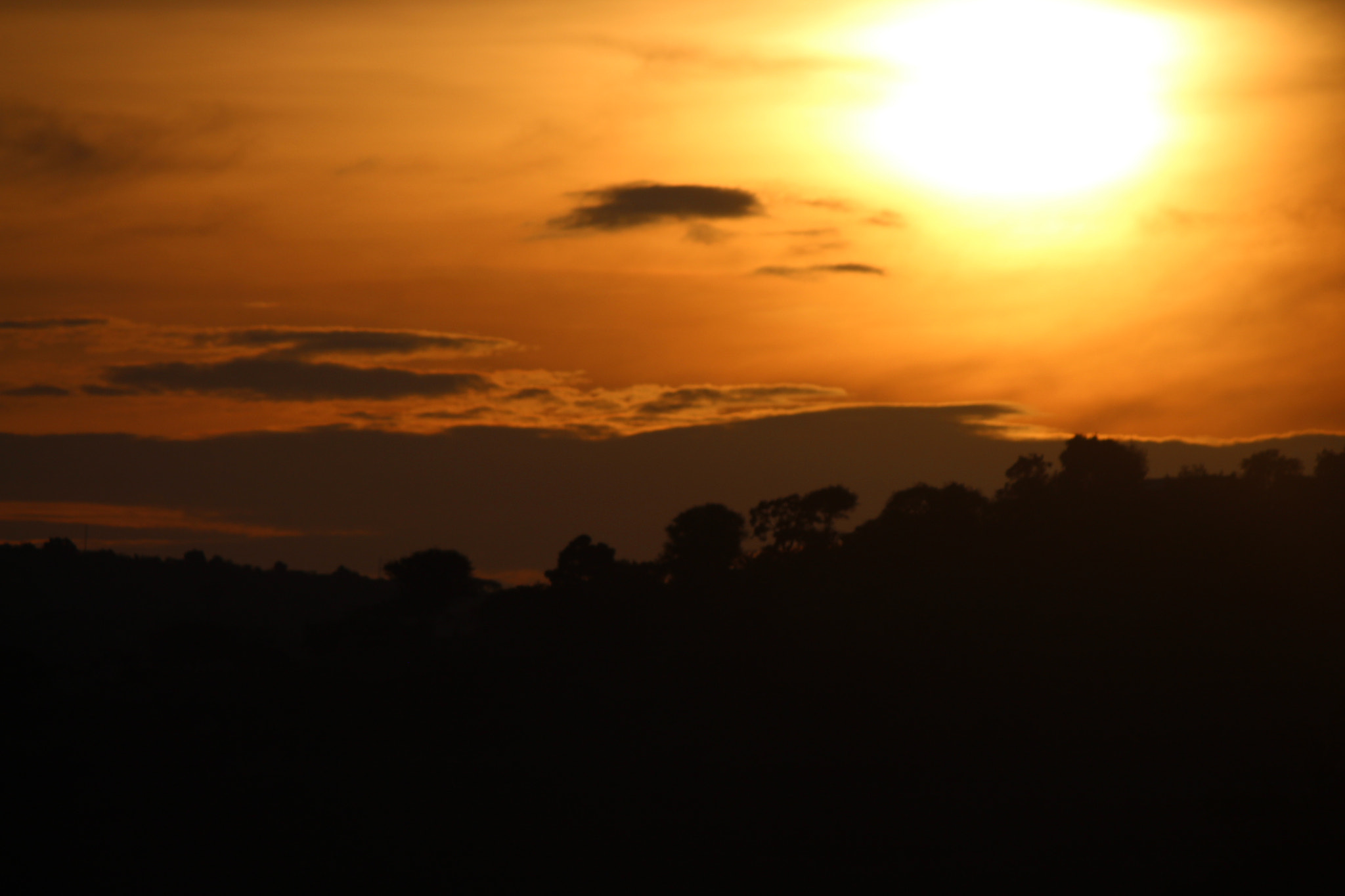 Canon EF-S 55-250mm F4-5.6 IS sample photo. Img photography