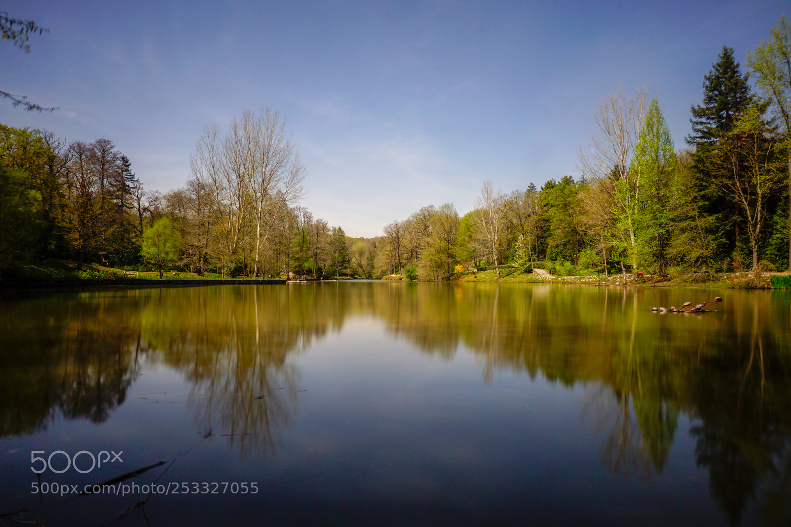 Sony a6000 sample photo. Green and blue photography