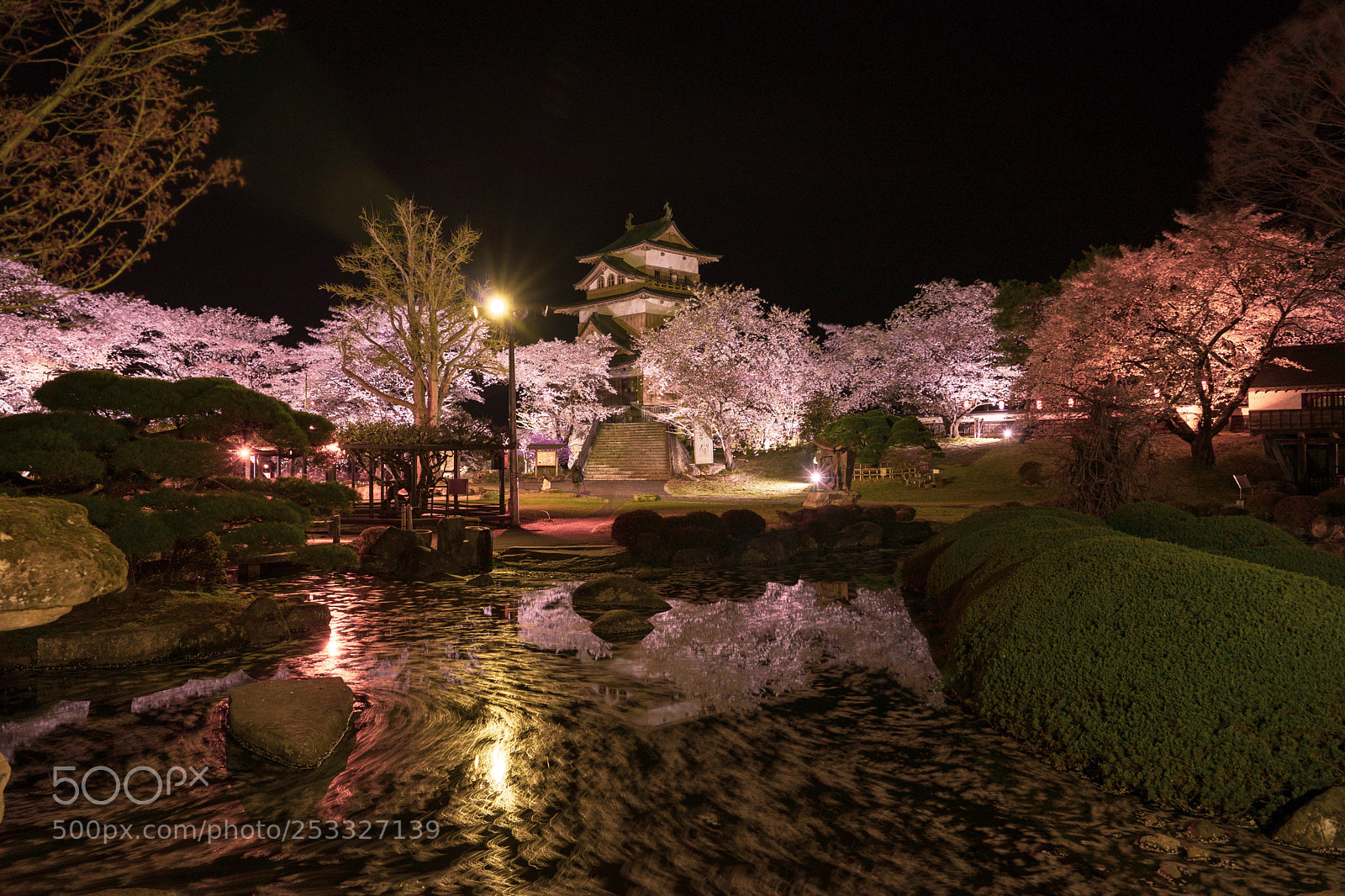 Sony a7 II sample photo. Untitled photography