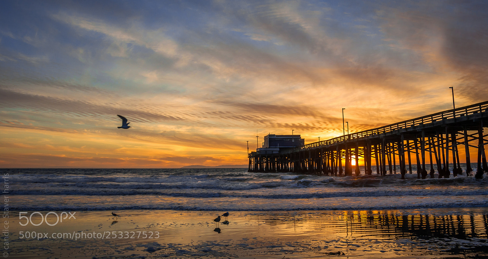 Nikon D90 sample photo. Newport sunset photography