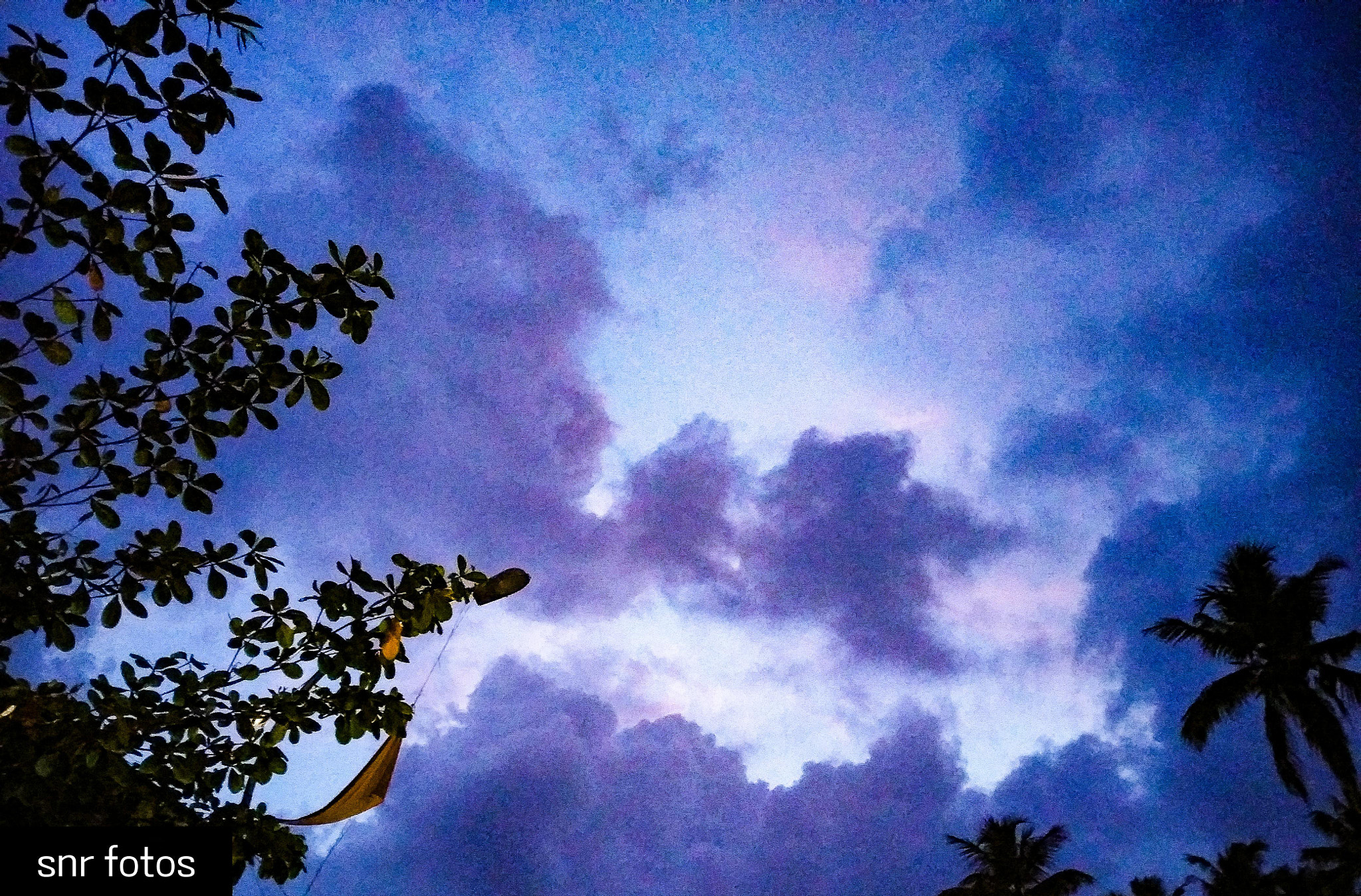 LG Q6 sample photo. Purple sky... photography