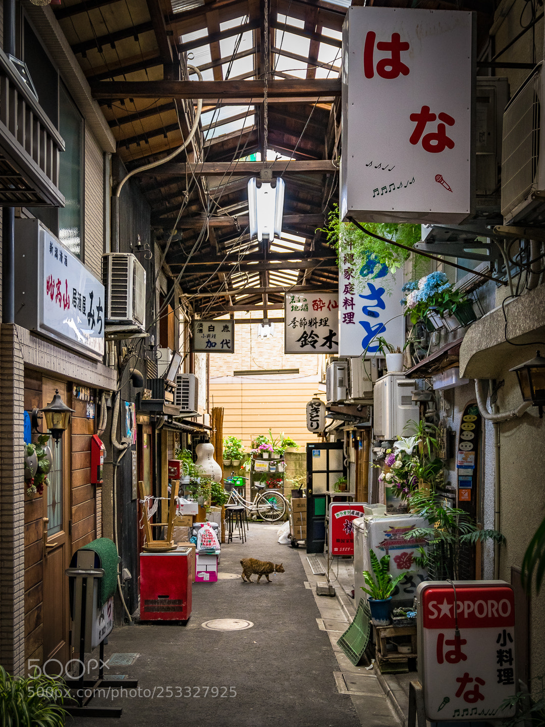Pentax K-3 II sample photo. Tokyo street photography