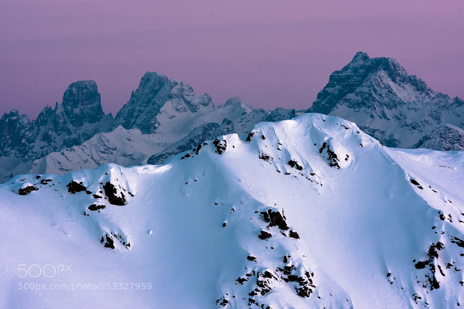Nikon D7200 sample photo. Snow and purple photography