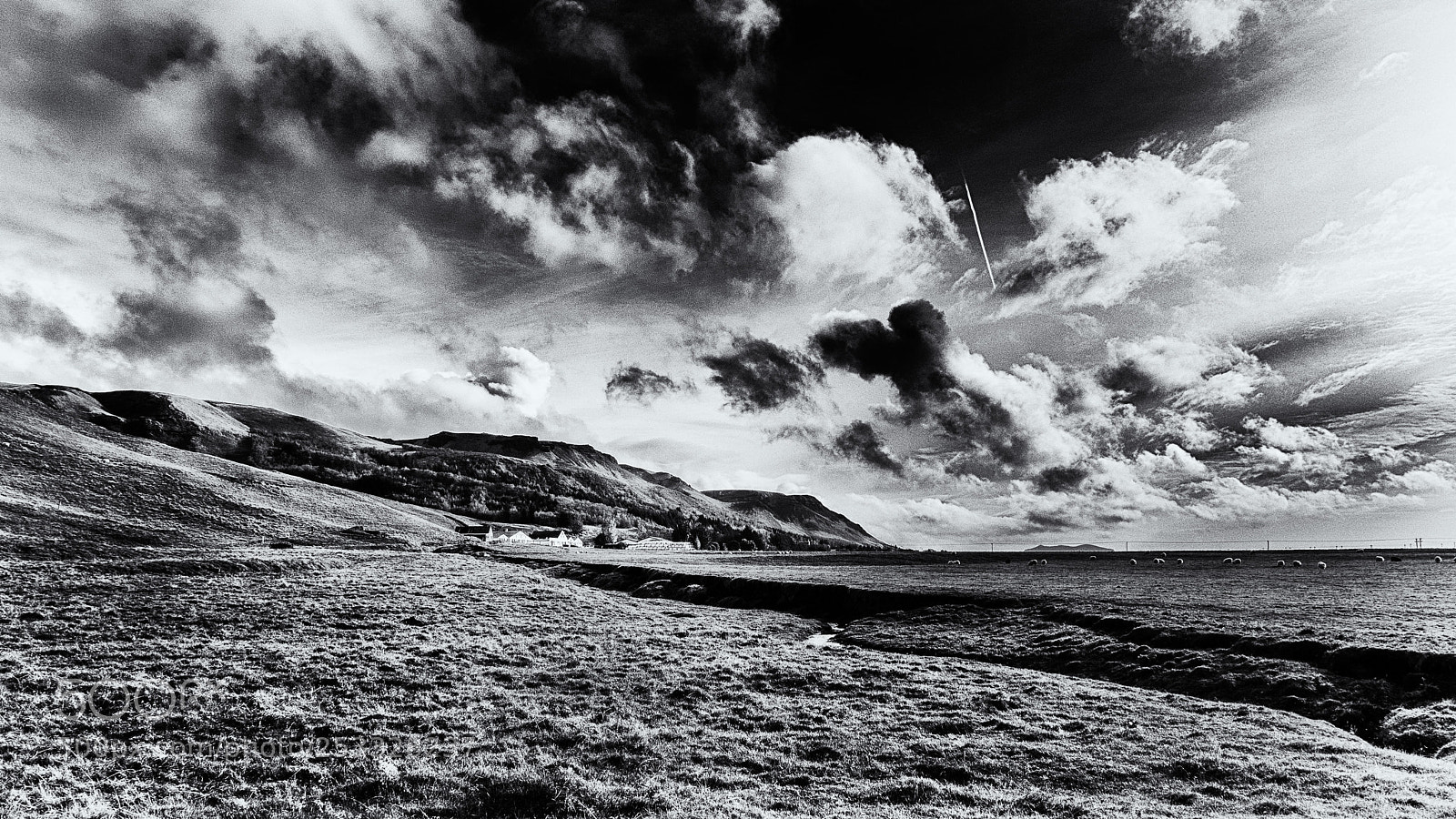 Olympus OM-D E-M1 sample photo. Icelandic farm photography