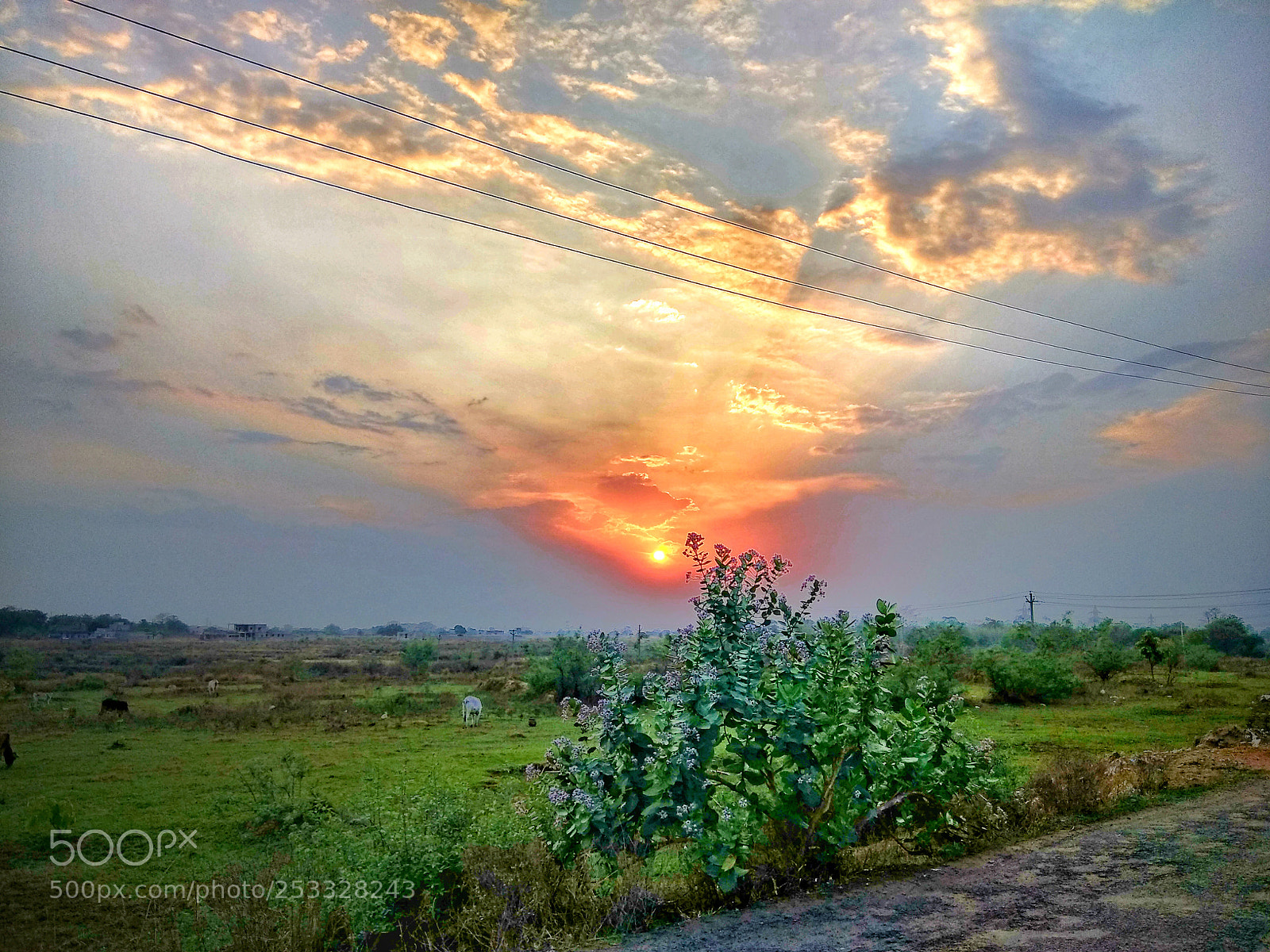 Xiaomi Redmi Note 4 sample photo. The sky photography