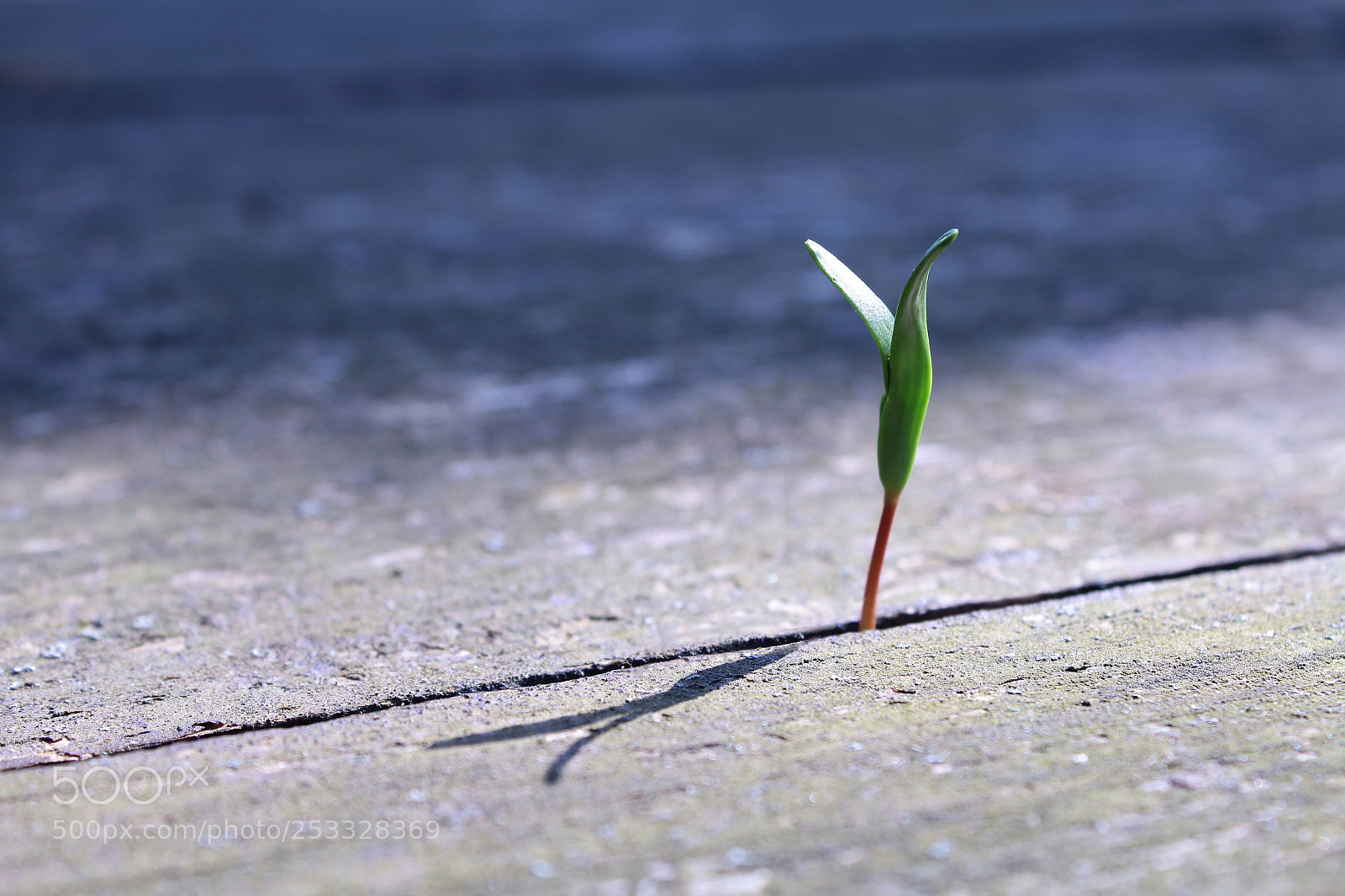 Canon EOS 1200D (EOS Rebel T5 / EOS Kiss X70 / EOS Hi) sample photo. Nature comes. photography