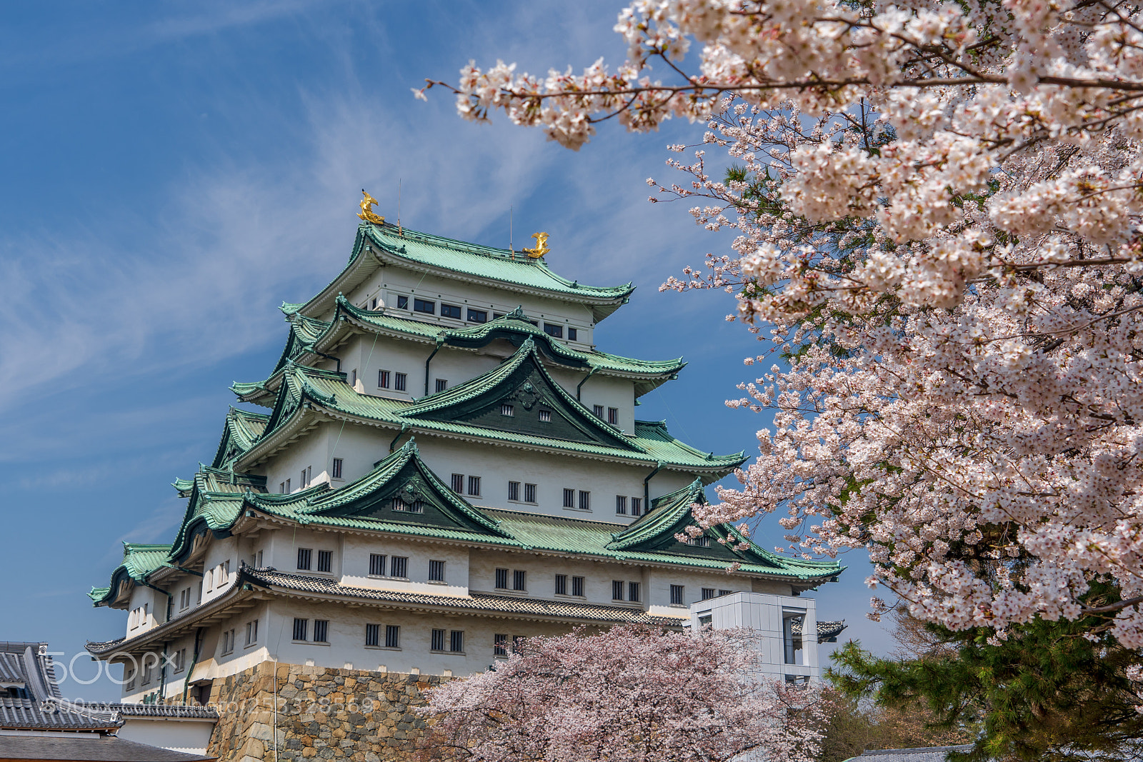Sony a7 III sample photo. Nagoya castle photography