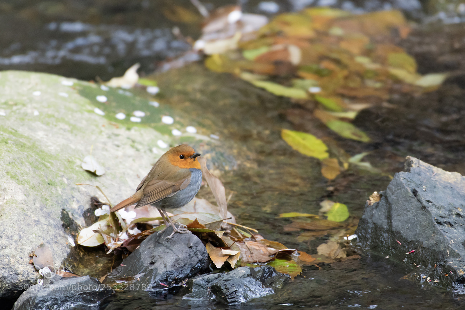 Nikon D850 sample photo. I still haven't found photography