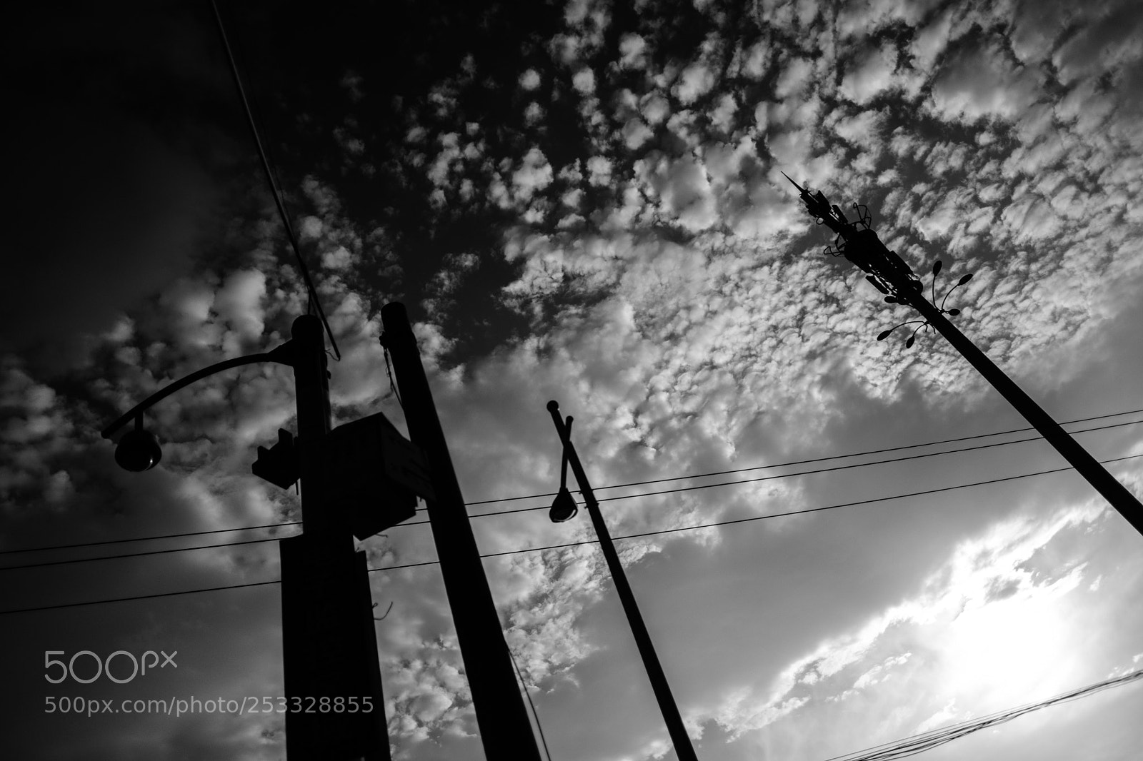 Fujifilm X-T2 sample photo. Untitled photography