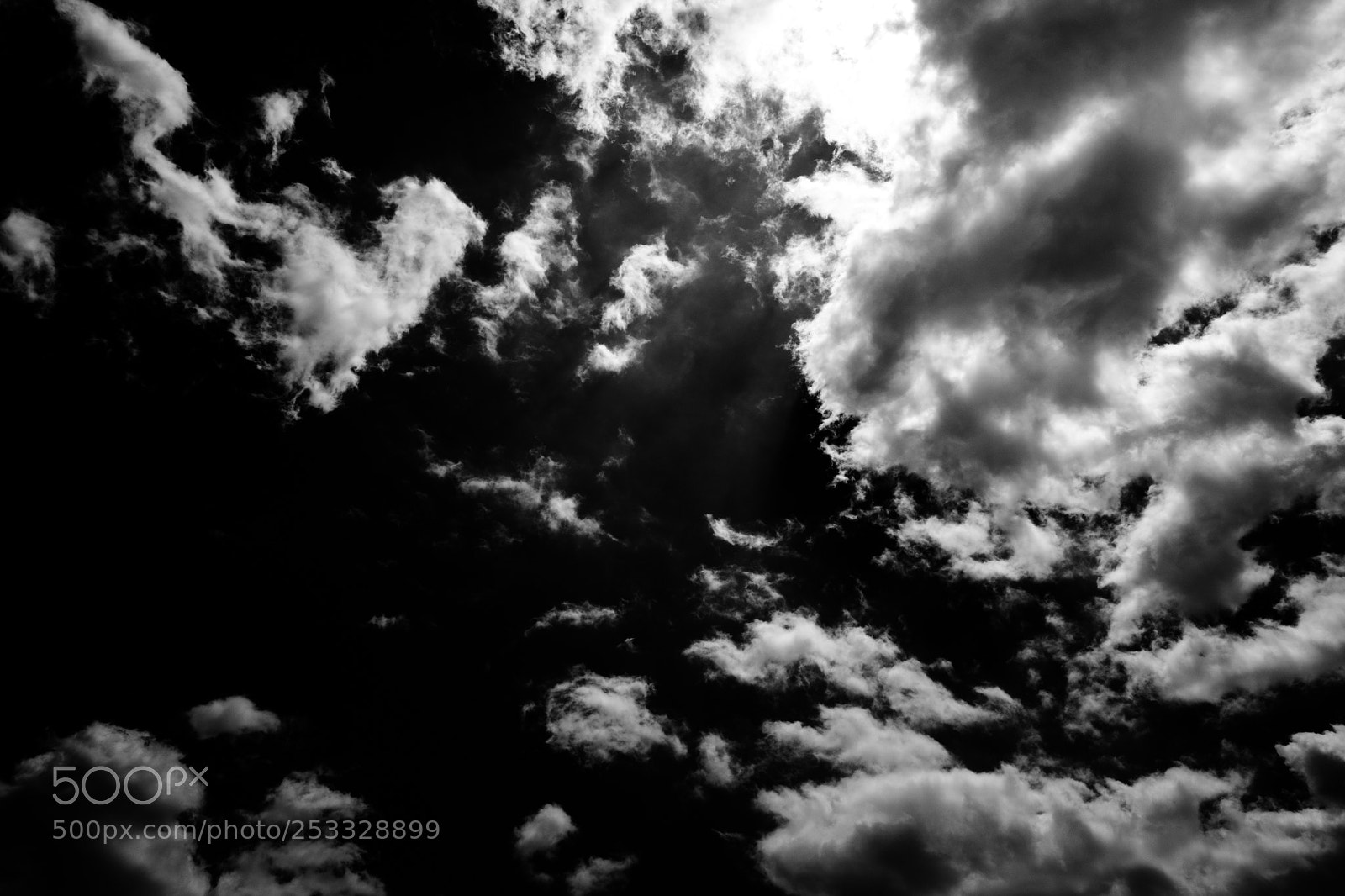 Fujifilm X-T2 sample photo. Untitled photography
