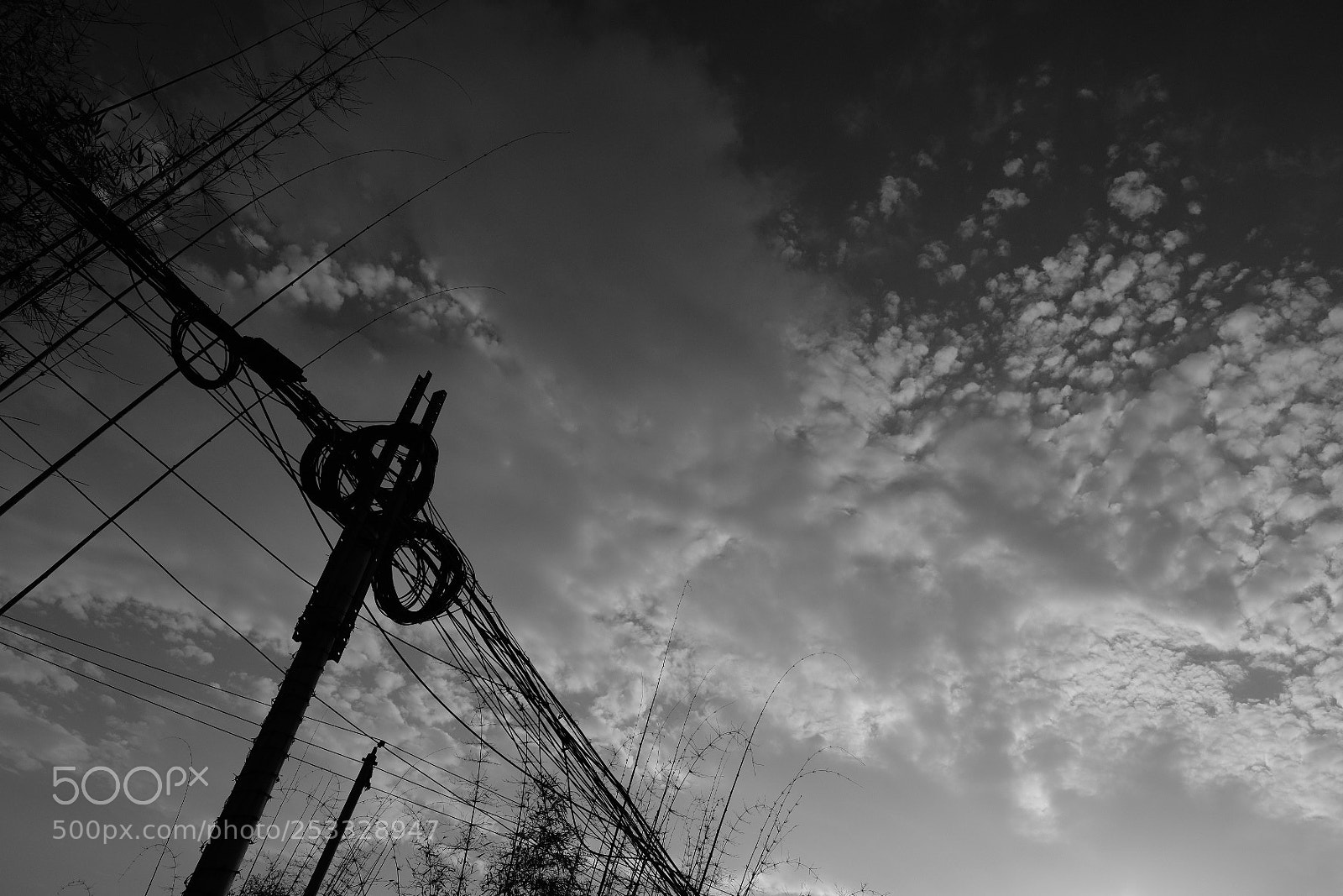 Fujifilm X-T2 sample photo. Untitled photography