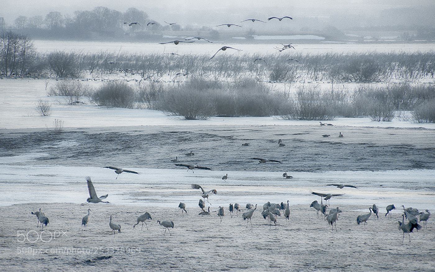 Nikon D800 sample photo. Early one morning in photography