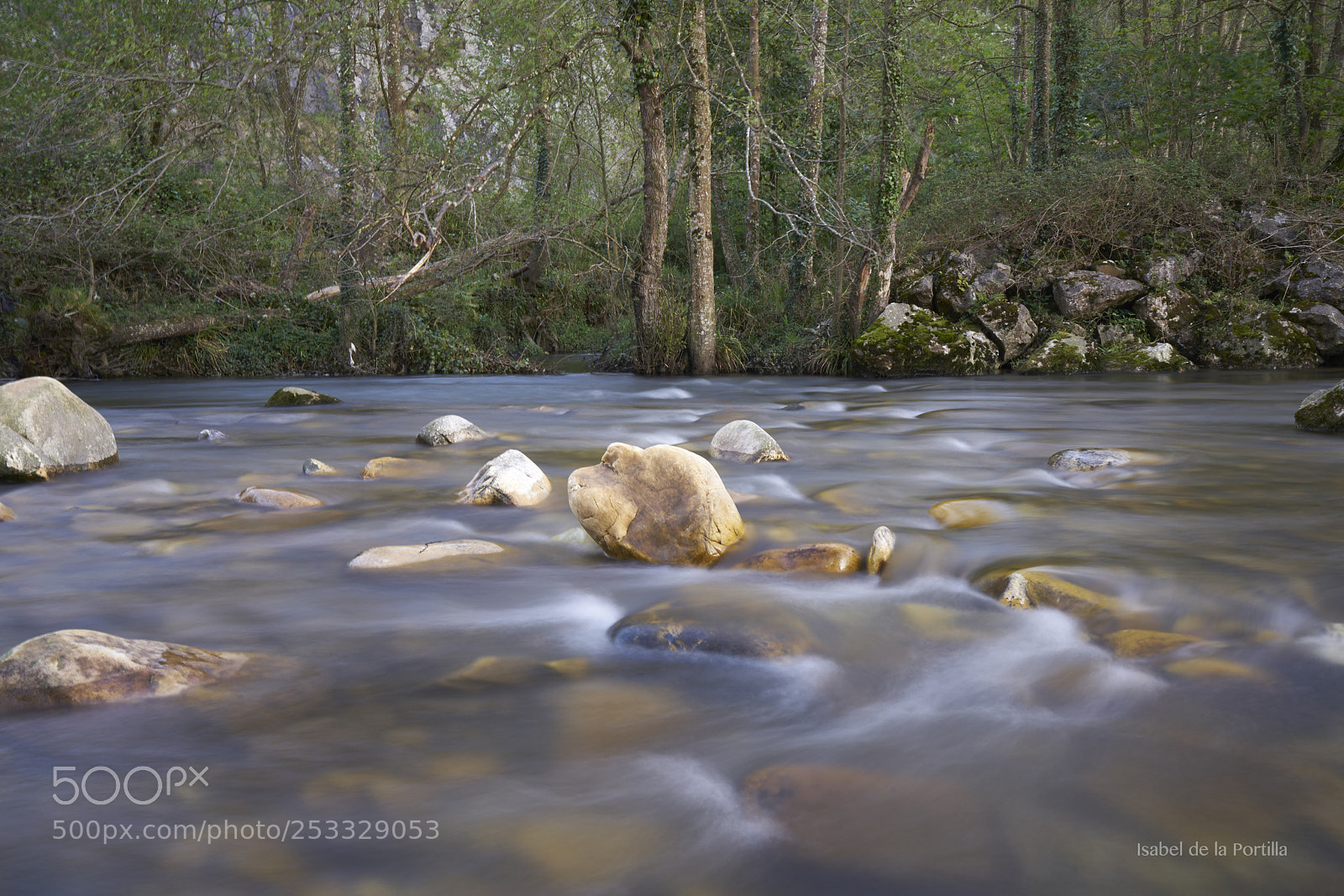 Sony a7R II sample photo. Spring water strength picos photography