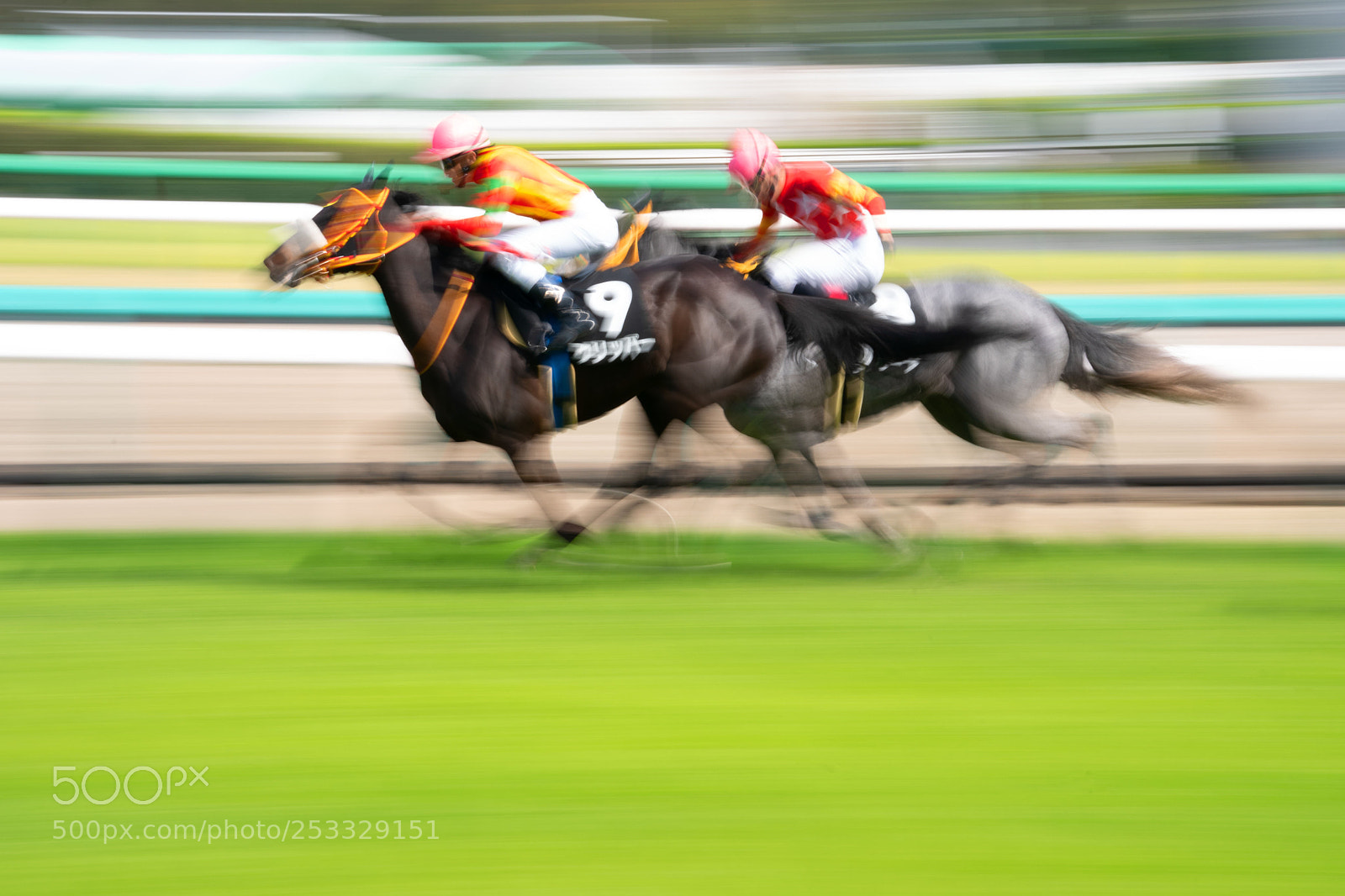 Sony a9 sample photo. Horse race photography