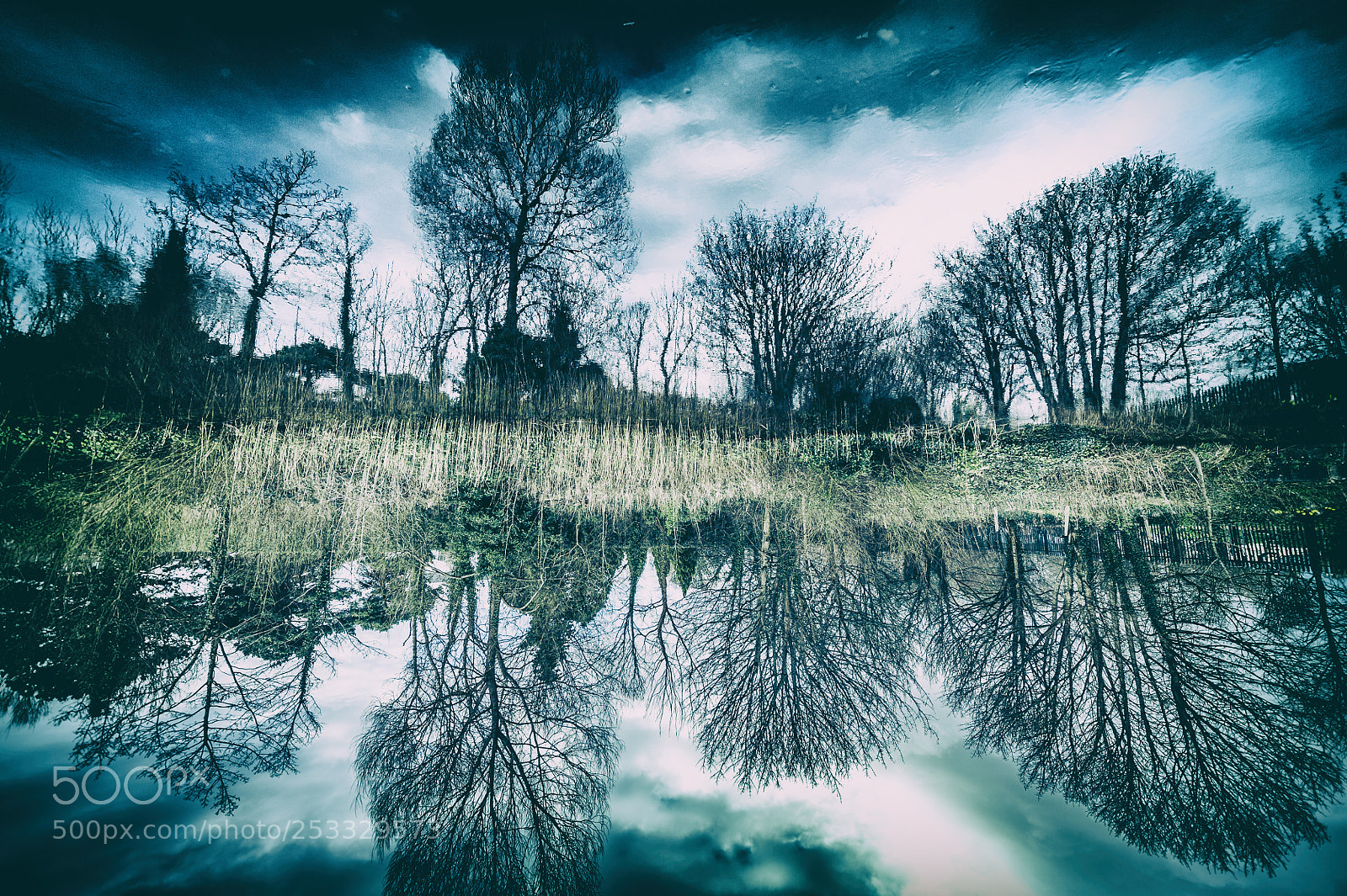 Nikon D3 sample photo. River reflections photography