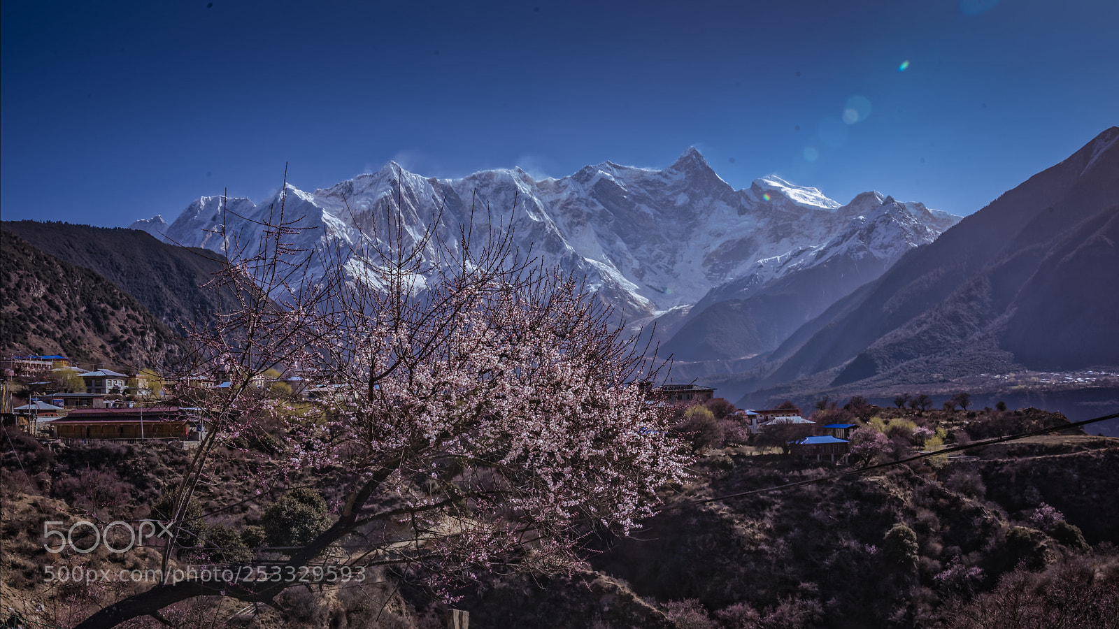 Nikon D810 sample photo. Dxo photography