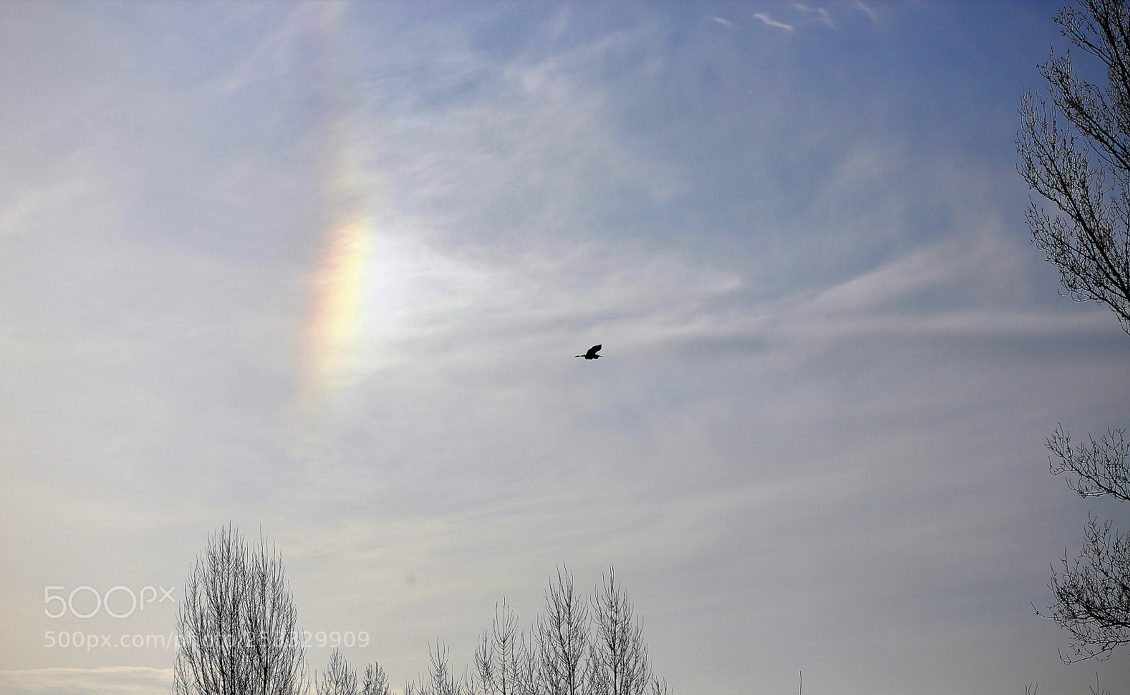 Canon EOS 600D (Rebel EOS T3i / EOS Kiss X5) sample photo. Fly over the rainbow photography