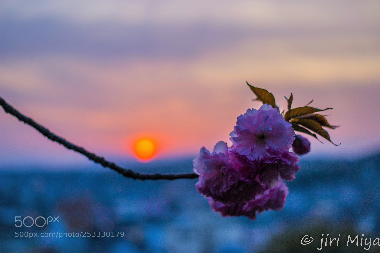 Canon EOS 600D (Rebel EOS T3i / EOS Kiss X5) sample photo. Sunset photography