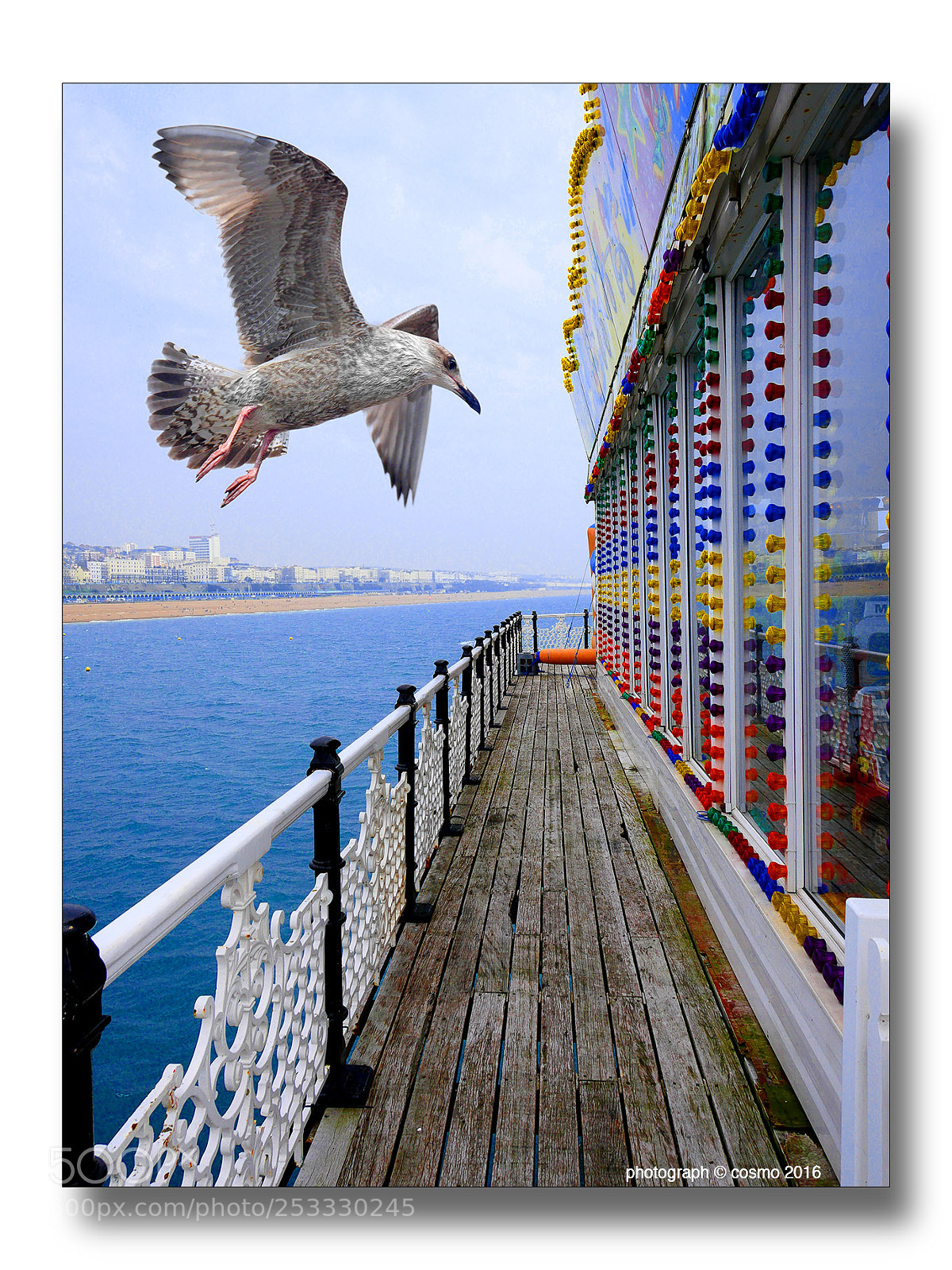 Panasonic Lumix DMC-GX8 sample photo. Big bird brighton. photography
