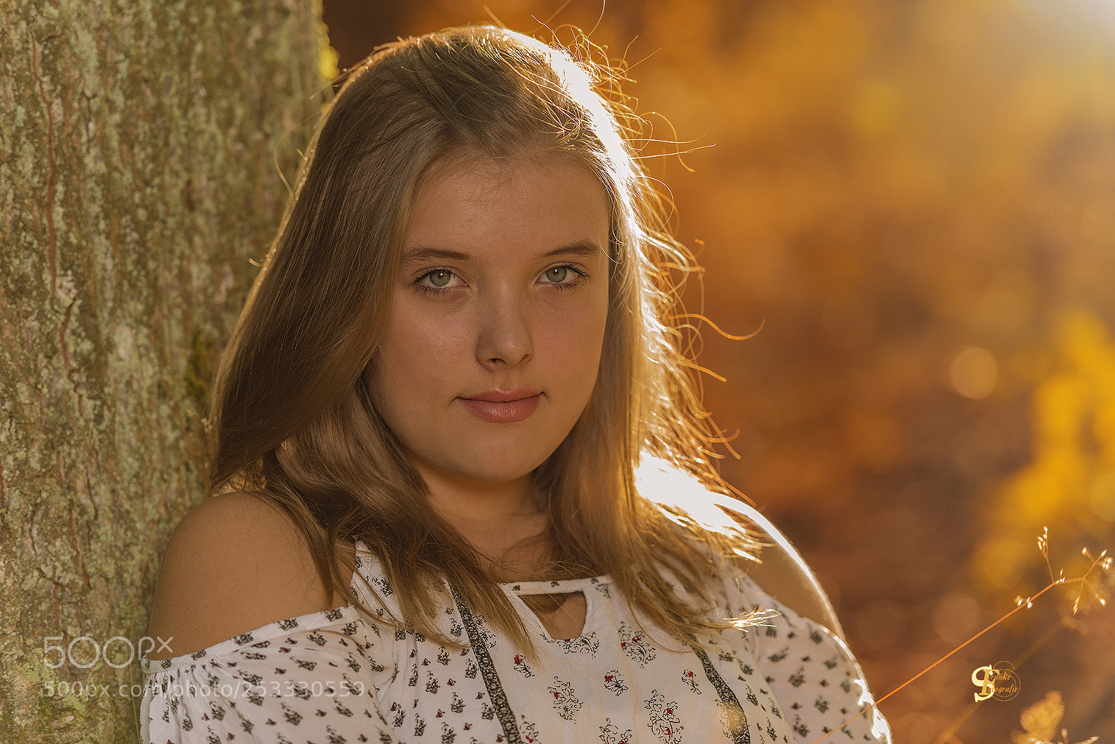 Nikon D800 sample photo. Herbstsonne photography