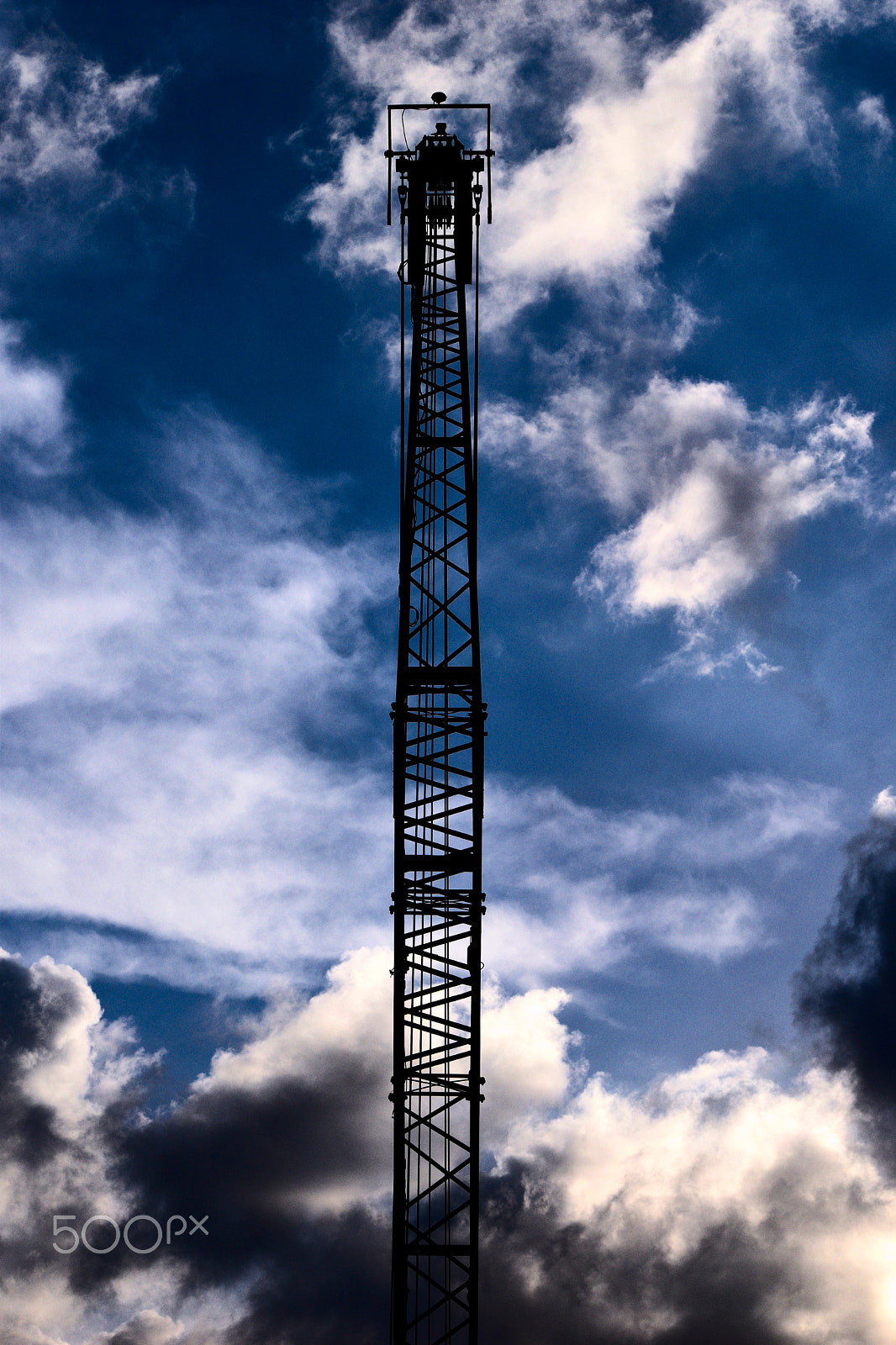 Nikon D5300 sample photo. Crane photography