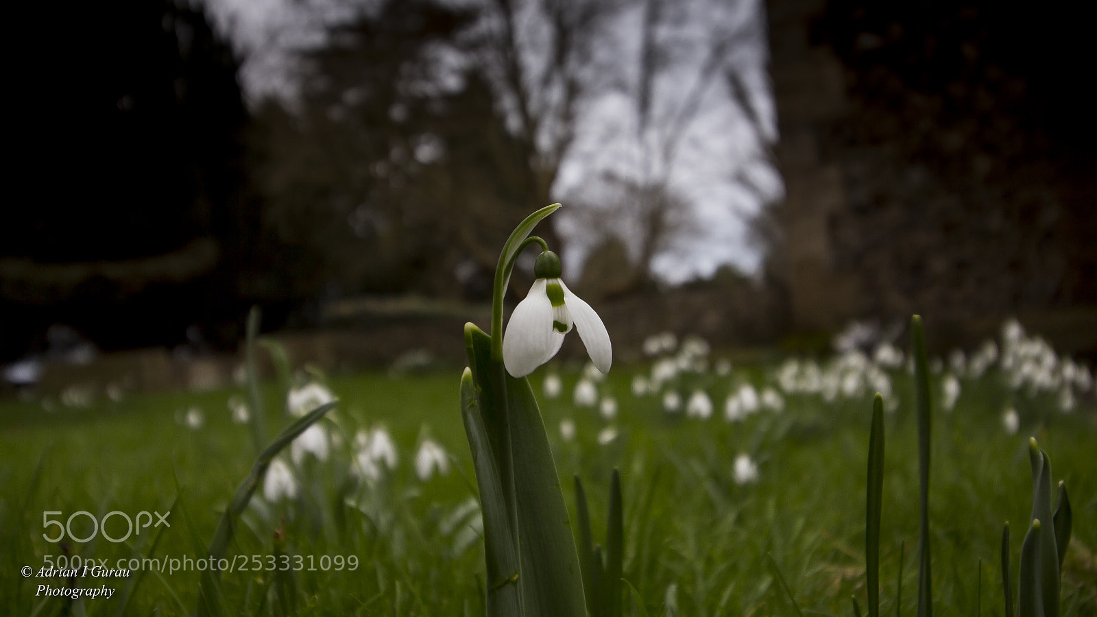 Canon EOS 700D (EOS Rebel T5i / EOS Kiss X7i) sample photo. Img photography