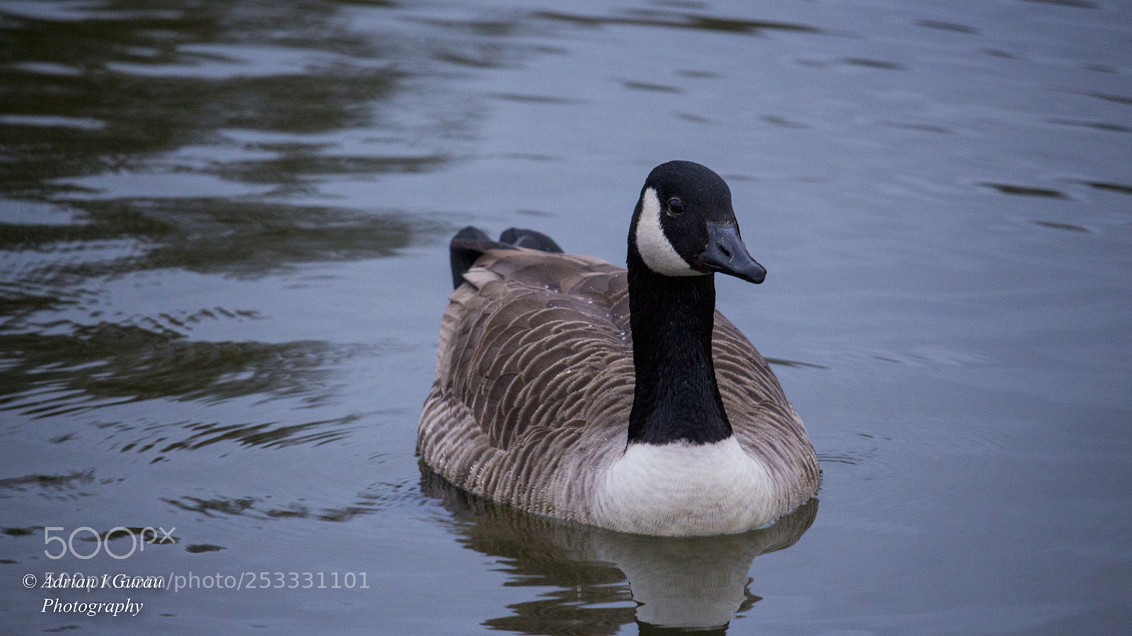 Canon EOS 700D (EOS Rebel T5i / EOS Kiss X7i) sample photo. Img photography