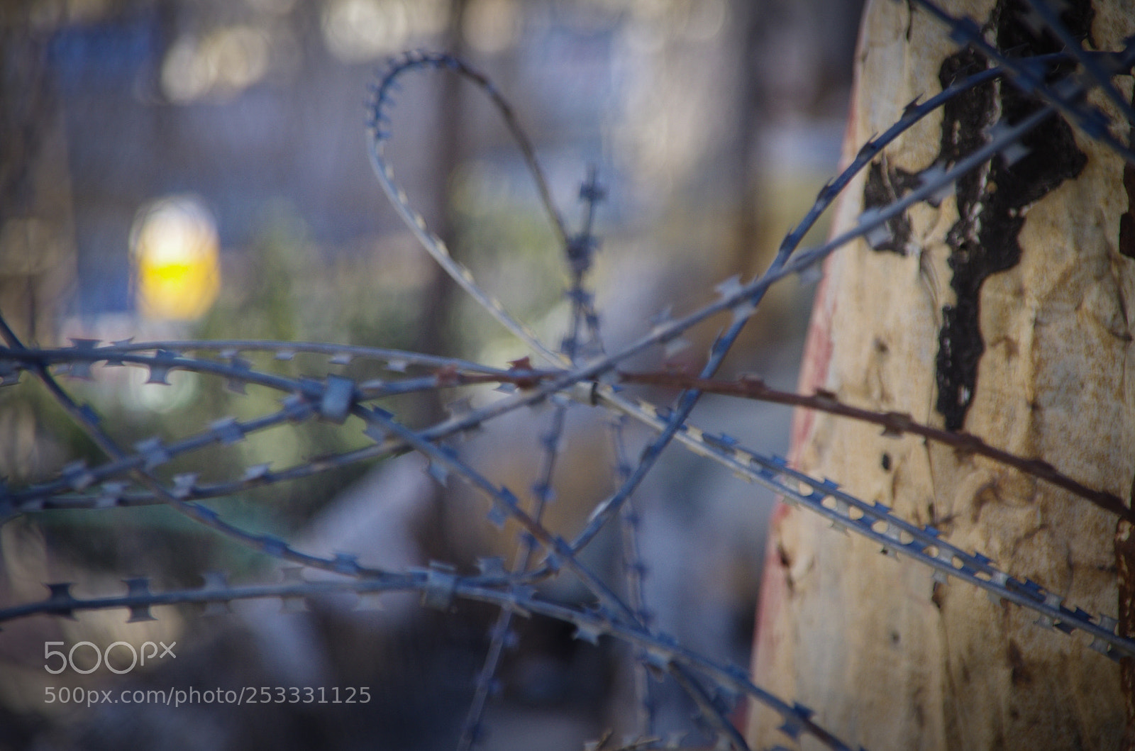Pentax K-5 sample photo. Hebron photography
