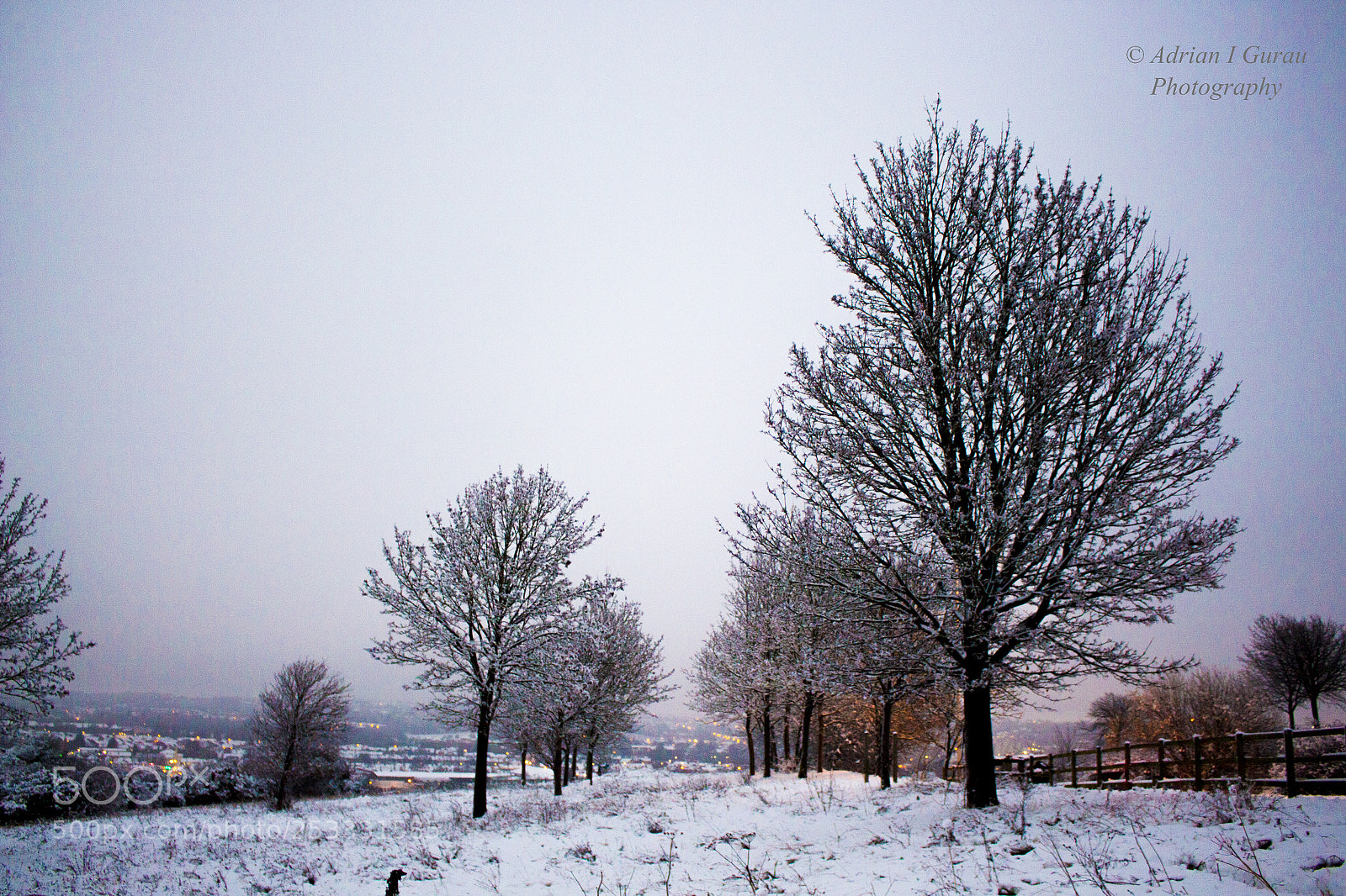 Canon EOS 700D (EOS Rebel T5i / EOS Kiss X7i) sample photo. Icy trees photography